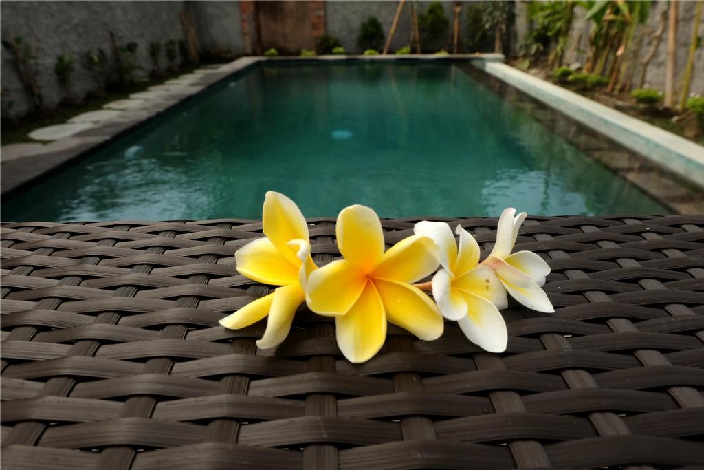 Eka Bali Guest House Ubud  Bagian luar foto