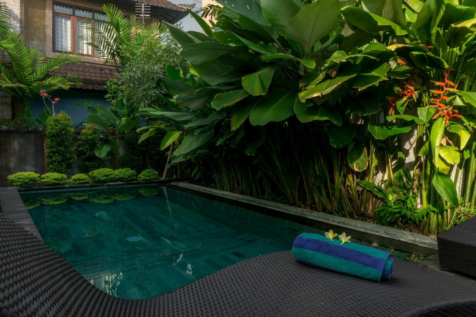 Eka Bali Guest House Ubud  Bagian luar foto